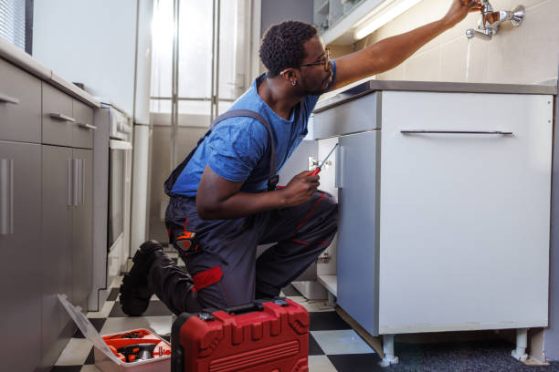 Best Toilet Repair Services  in St Francis, MN